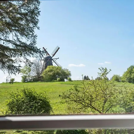 7057-bogo-by-mollebakken-67 *